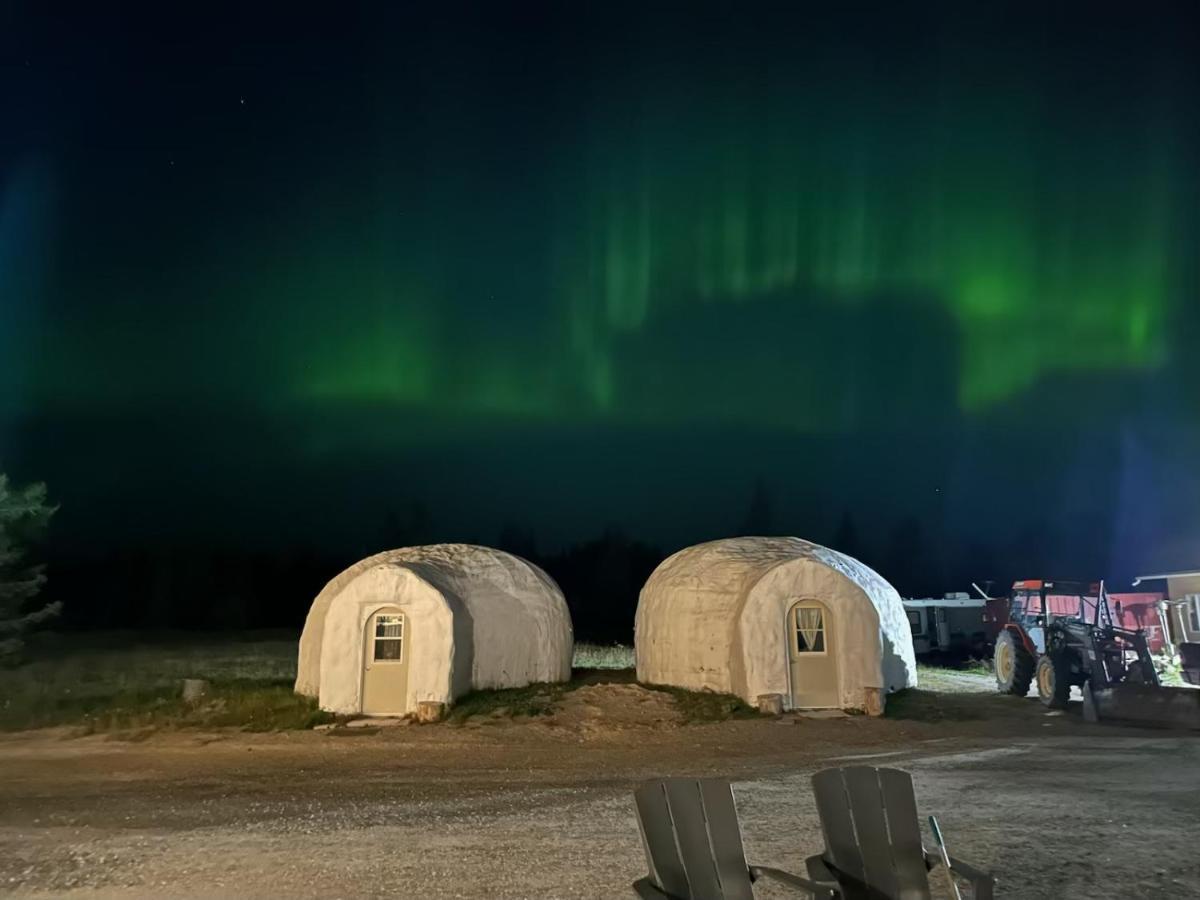 North Adventure Inn Cochrane Exterior foto